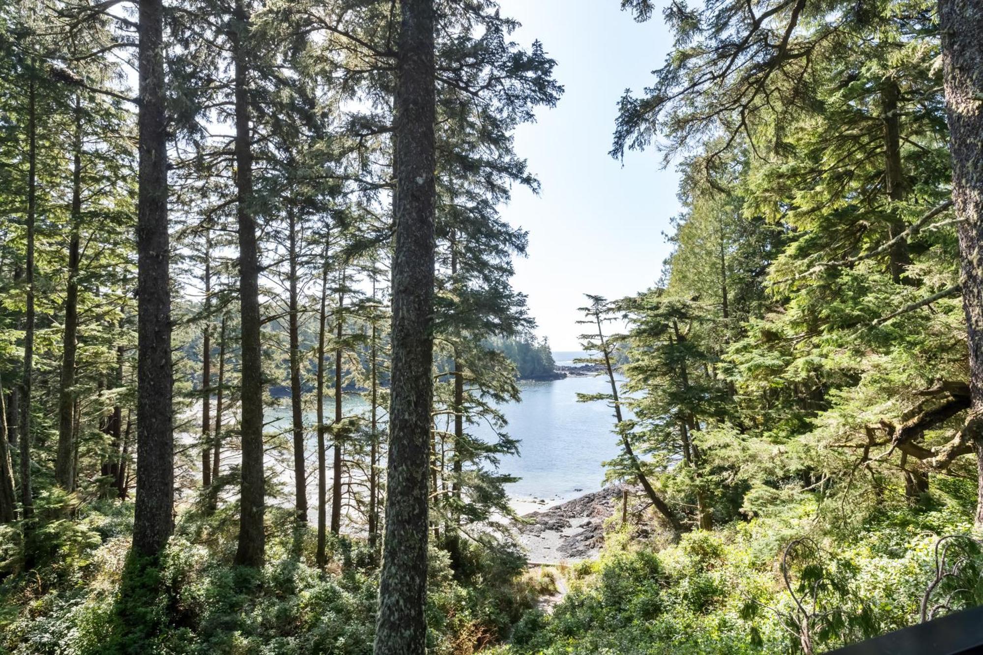 The Cabins At Terrace Beach Ucluelet Exterior photo